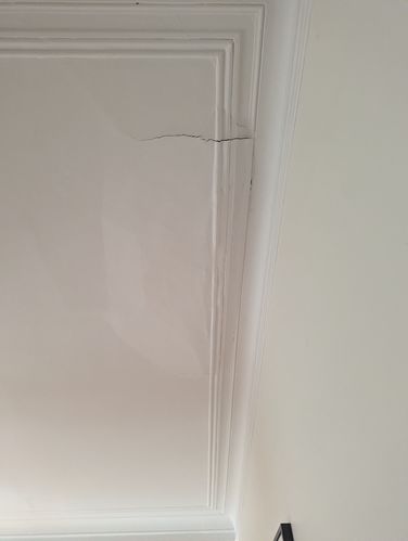 1000003169.jpg 1000003169.jpg