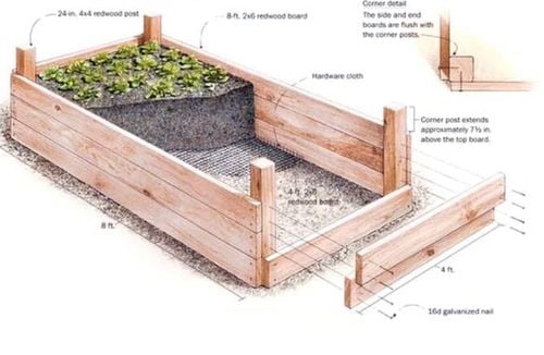 761A1970-6AD6-4CEB-8BB2-D99517FA5384.jpeg 761A1970-6AD6-4CEB-8BB2-D99517FA5384.jpeg