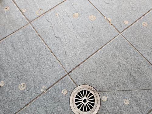 1000015962.jpg 1000015962.jpg