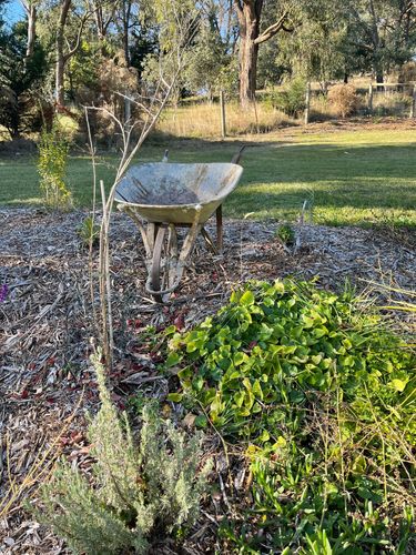 862C7582-4929-490E-8DC3-AFE3DFD2439F.jpeg 862C7582-4929-490E-8DC3-AFE3DFD2439F.jpeg