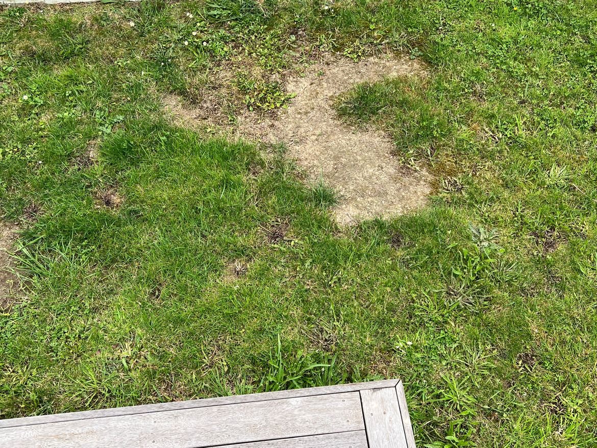 IMG_0271.JPG IMG_0271.JPG