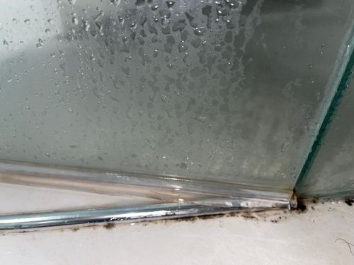 IMG_1289.jpeg IMG_1289.jpeg