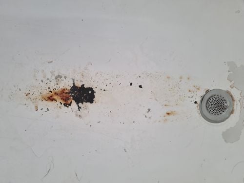 1000010904.jpg 1000010904.jpg