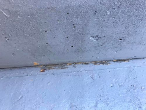 51 17-09-2023.jpg 51 17-09-2023.jpg