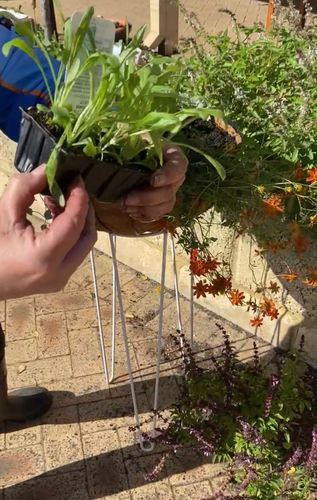 63670E92-0490-4DBF-AAC9-C644EE4492B2.jpeg 63670E92-0490-4DBF-AAC9-C644EE4492B2.jpeg