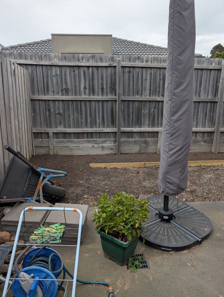 PXL_20251025_023238572.jpg PXL_20251025_023238572.jpg