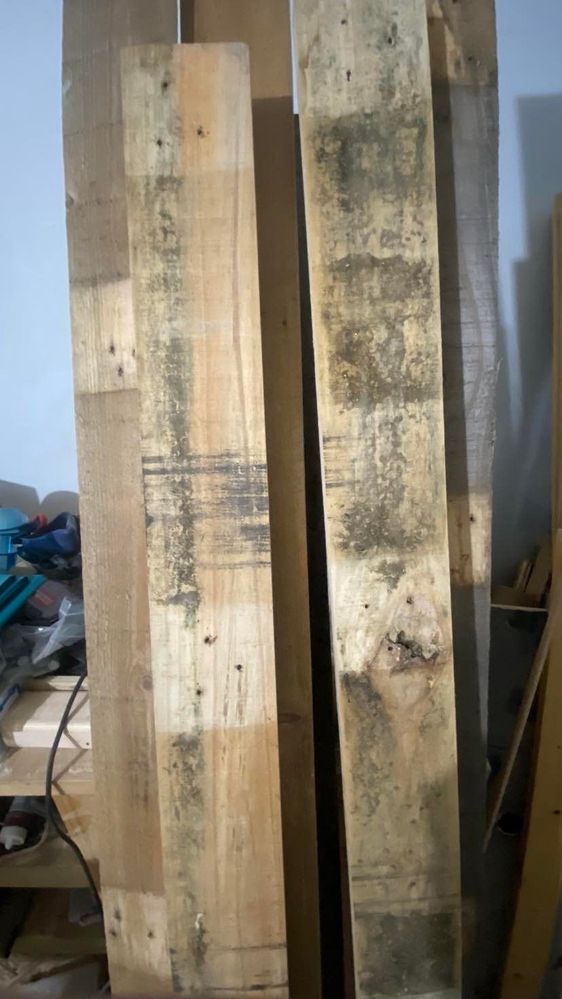 259605738_1842810232774458_8303045062345756286_n.jpg 259605738_1842810232774458_8303045062345756286_n.jpg