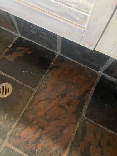 IMG_7922.jpeg IMG_7922.jpeg