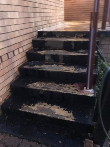 11 06-08-2023.jpg 11 06-08-2023.jpg