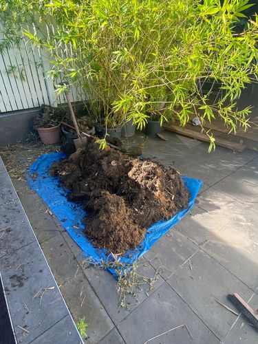 IMG_6525.jpeg IMG_6525.jpeg