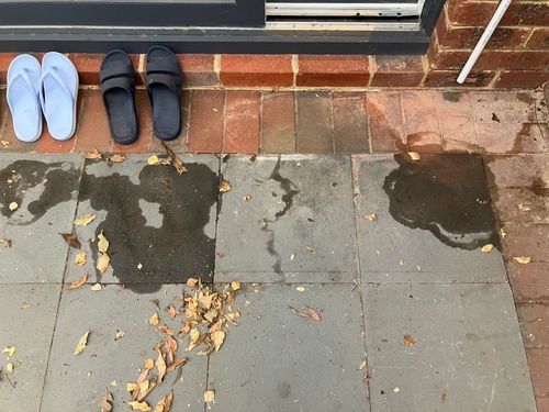 IMG_6675.jpeg IMG_6675.jpeg