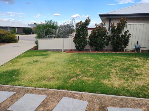 1000057812.jpg 1000057812.jpg