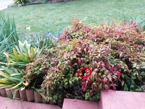 20210907_160537.jpg 20210907_160537.jpg