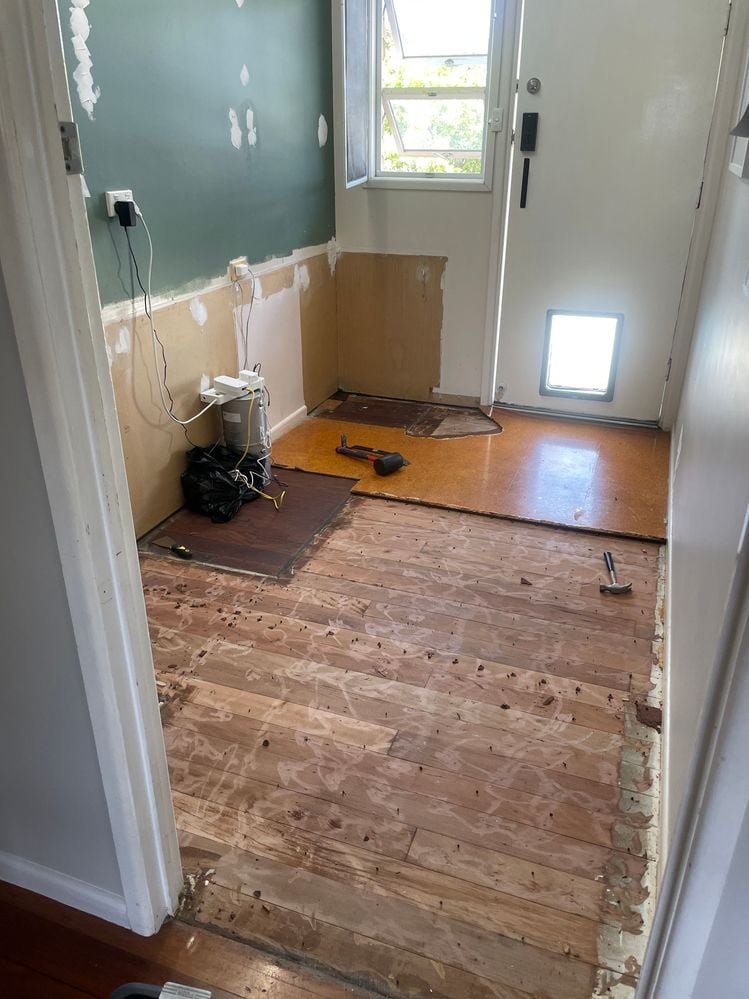 IMG_8284.JPG IMG_8284.JPG