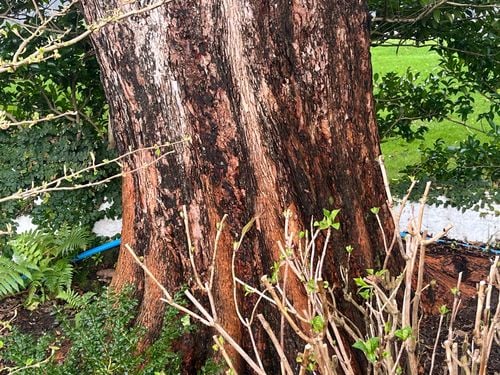 IMG_6024.jpeg IMG_6024.jpeg