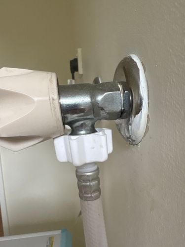 IMG_FC932B70-28E6-47F5-8381-685C76BEB923.jpeg IMG_FC932B70-28E6-47F5-8381-685C76BEB923.jpeg