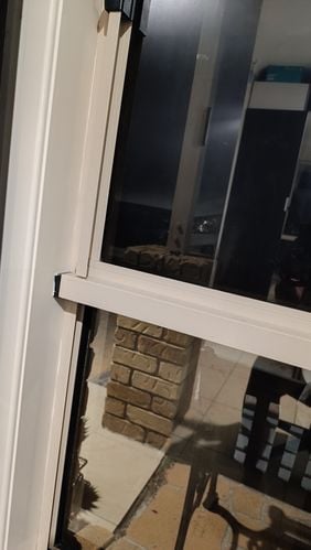 1710926535832.jpg 1710926535832.jpg