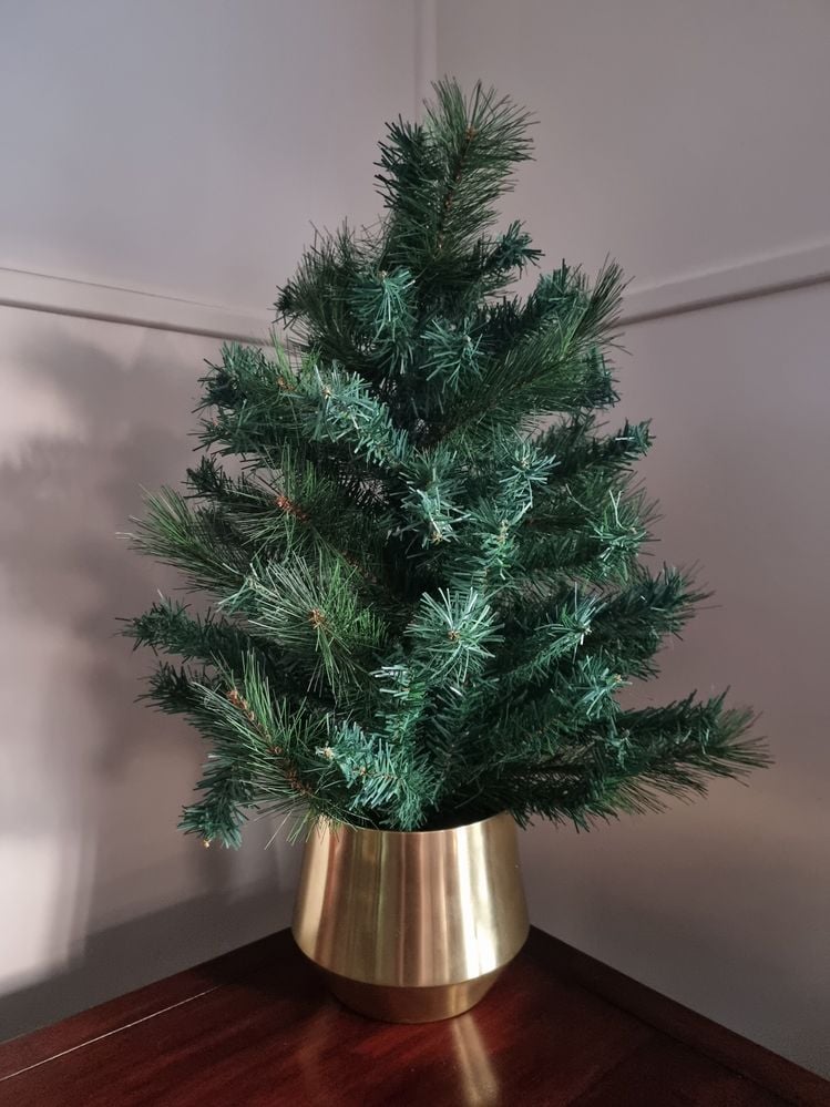 20231206_193105.jpg 20231206_193105.jpg