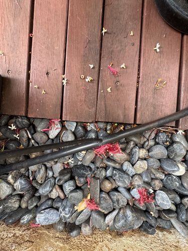 IMG_9513.jpeg IMG_9513.jpeg