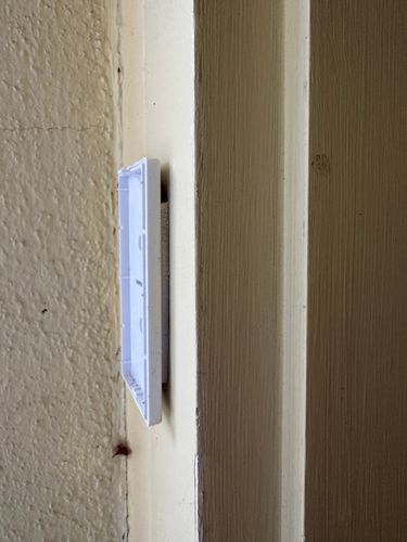 IMG_8783.jpeg IMG_8783.jpeg