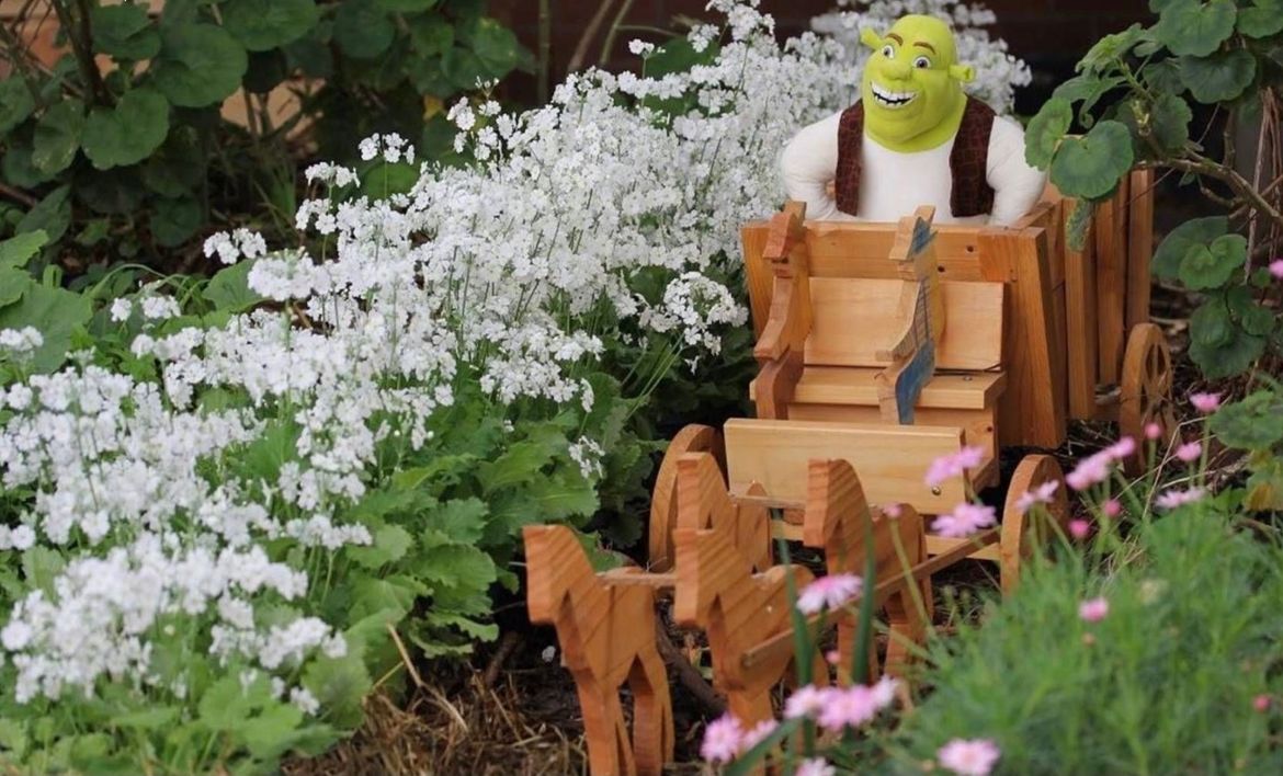 StevieB_0-1641864605743.jpeg StevieB_0-1641864605743.jpeg