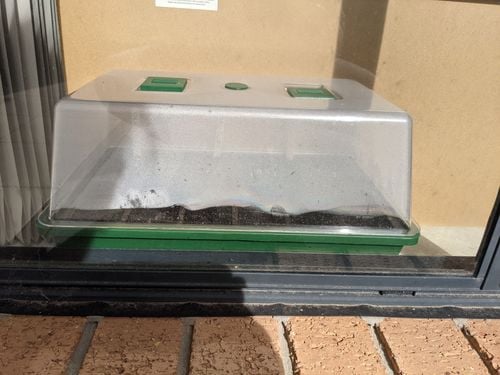 PXL_20210720_023434802.jpg PXL_20210720_023434802.jpg