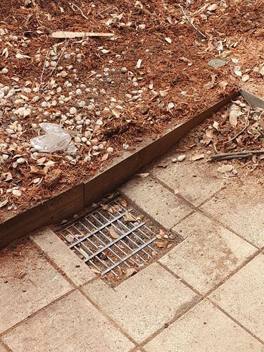 20191124_095747.jpg 20191124_095747.jpg