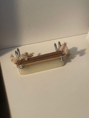 IMG_9924.jpeg IMG_9924.jpeg