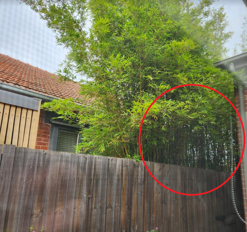 Screenshot 2024-02-19 104832.png Screenshot 2024-02-19 104832.png