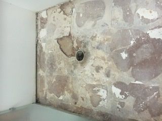 82B7A9F9-DA2C-489D-AA69-B6944BC8583C.jpeg 82B7A9F9-DA2C-489D-AA69-B6944BC8583C.jpeg