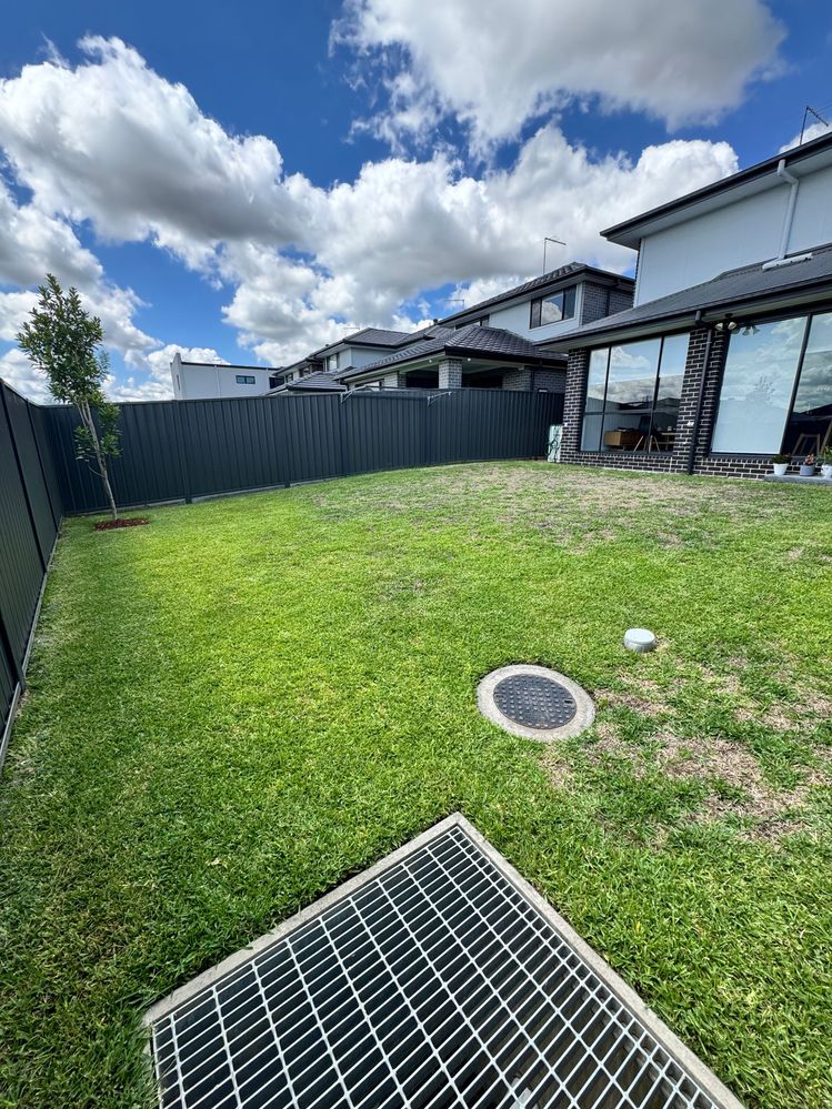 IMG_4538.jpg IMG_4538.jpg