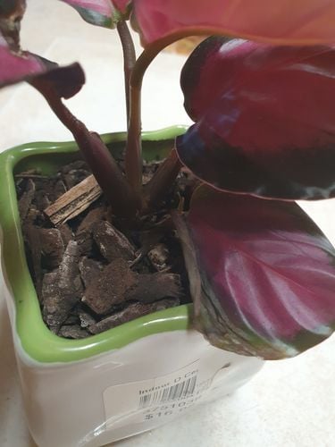 20240713_150621.jpg 20240713_150621.jpg