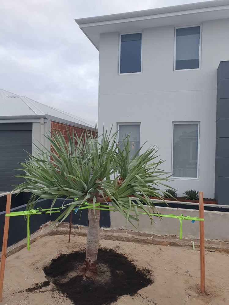 20191020_181332.jpg 20191020_181332.jpg