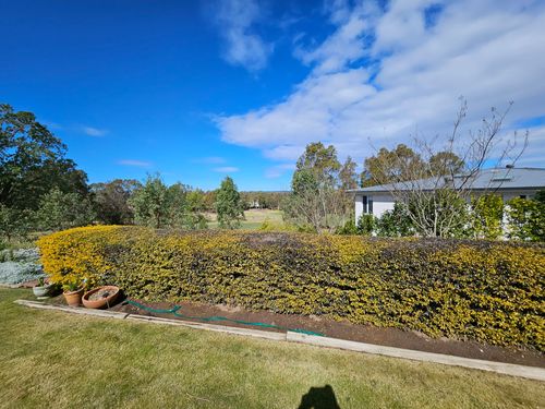 20230819_121406.jpg 20230819_121406.jpg