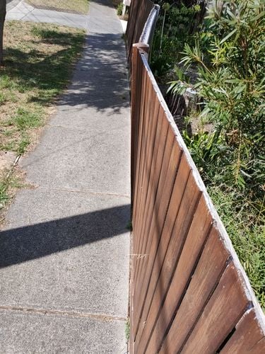 IMG20220313145329.jpg IMG20220313145329.jpg