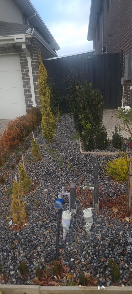 20250627_083000.jpg 20250627_083000.jpg