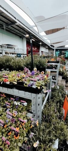 IMG_20240630_152225.jpg IMG_20240630_152225.jpg