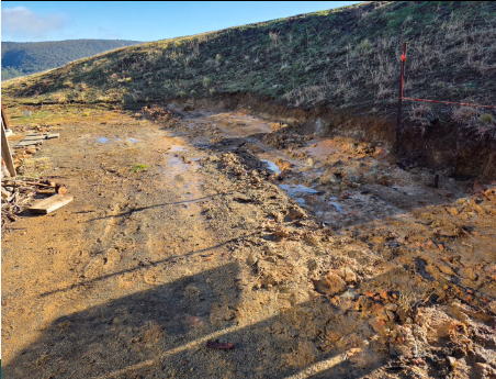 courtyard 1.png courtyard 1.png