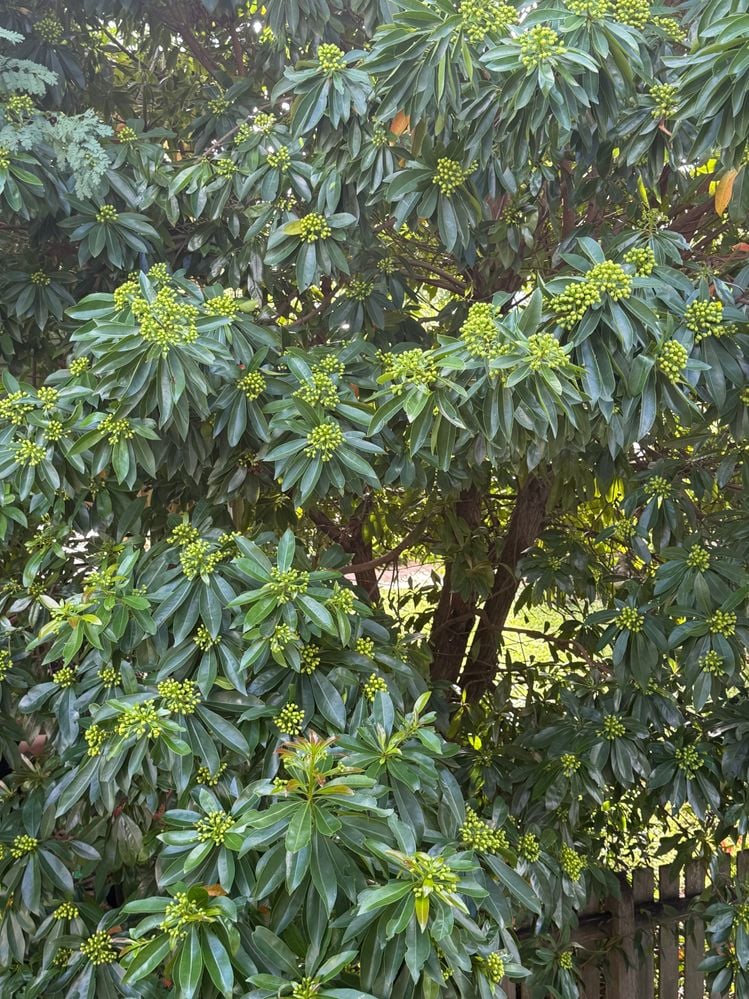 IMG_1150.jpeg IMG_1150.jpeg