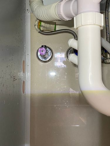 IMG_2062.jpeg IMG_2062.jpeg