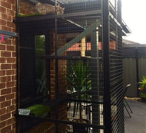 Indoor to outdoor cat tower.jpeg Indoor to outdoor cat tower.jpeg