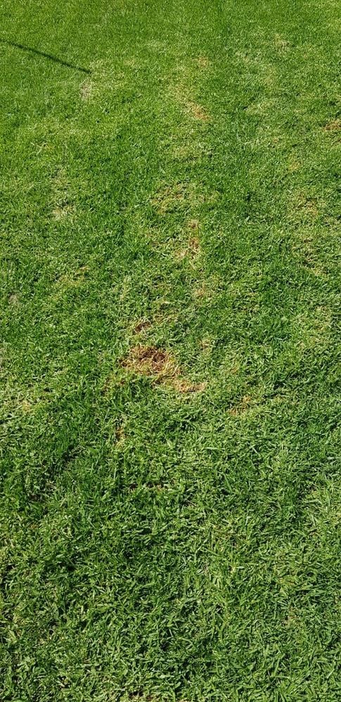 WhatsApp Image 2021-02-23 at 13.13.29.jpeg WhatsApp Image 2021-02-23 at 13.13.29.jpeg