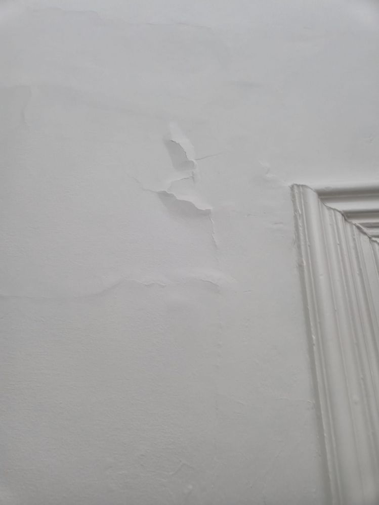 WhatsApp Image 2025-06-17 at 15.04.43_f59dbf04.jpg WhatsApp Image 2025-06-17 at 15.04.43_f59dbf04.jpg