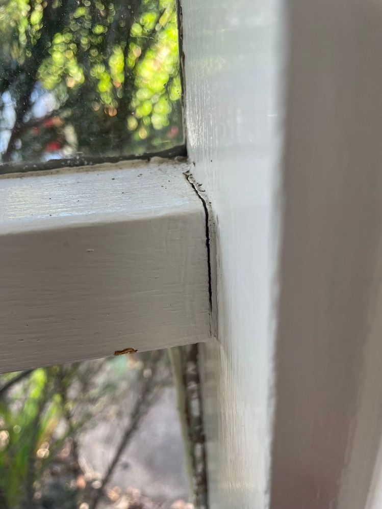 2821681364905_.pic.jpg 2821681364905_.pic.jpg