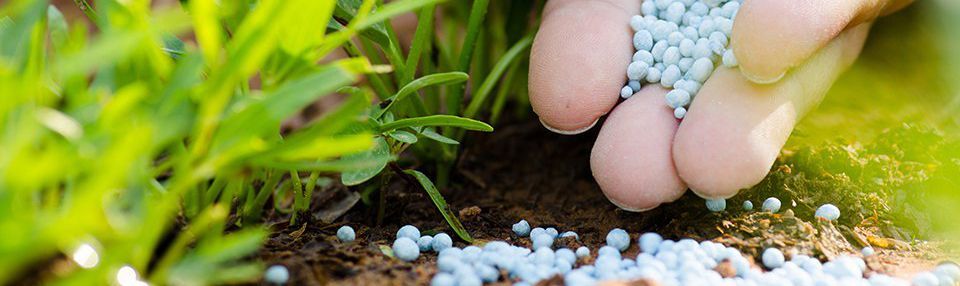 fertiliser.jpg fertiliser.jpg