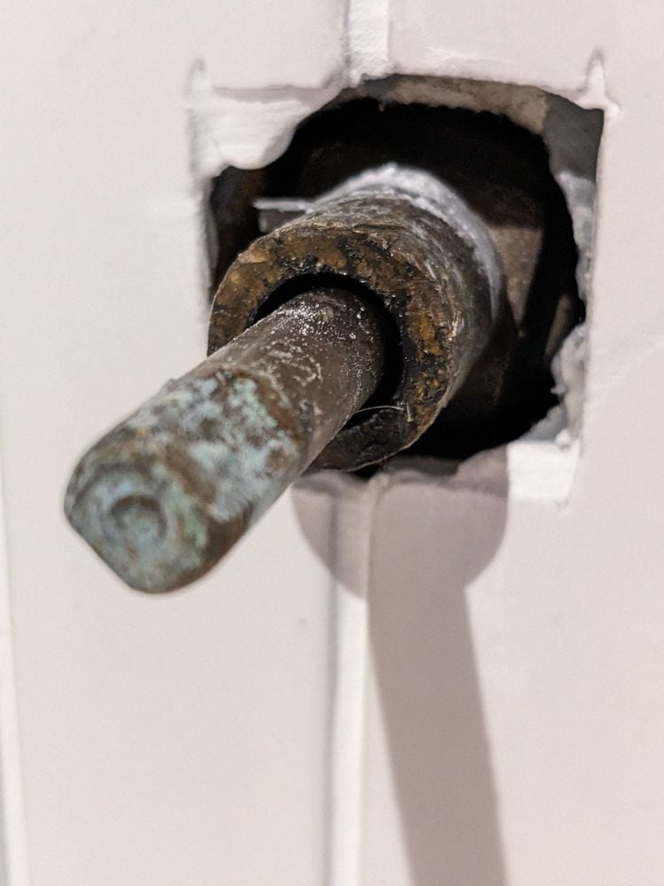 PXL_20240405_080513070.MP.jpg PXL_20240405_080513070.MP.jpg