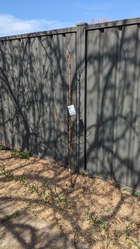 2025-09-04 11.39.29.jpg 2025-09-04 11.39.29.jpg