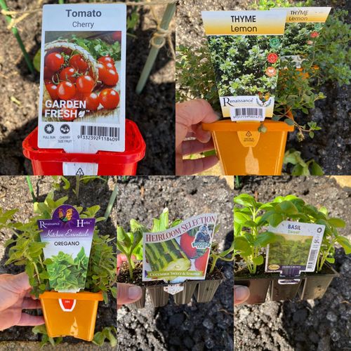 AB554F7D-D643-4347-B6FB-B5464EBFE5AF.jpeg AB554F7D-D643-4347-B6FB-B5464EBFE5AF.jpeg