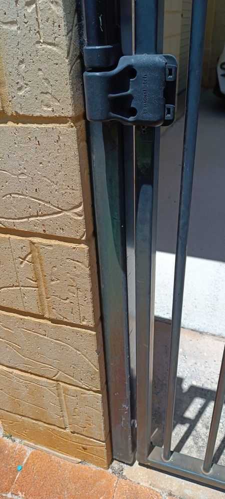 WhatsApp Image 2024-11-23 at 11.51.41.jpeg WhatsApp Image 2024-11-23 at 11.51.41.jpeg