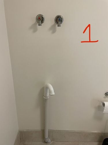 IMG_8818.jpeg IMG_8818.jpeg